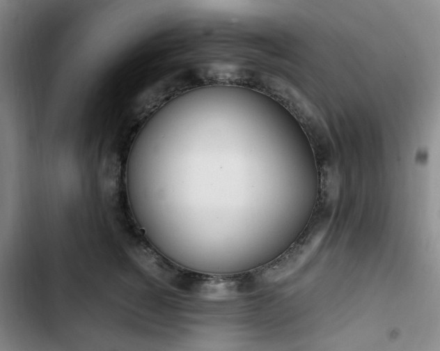 X0000102760760200808251028