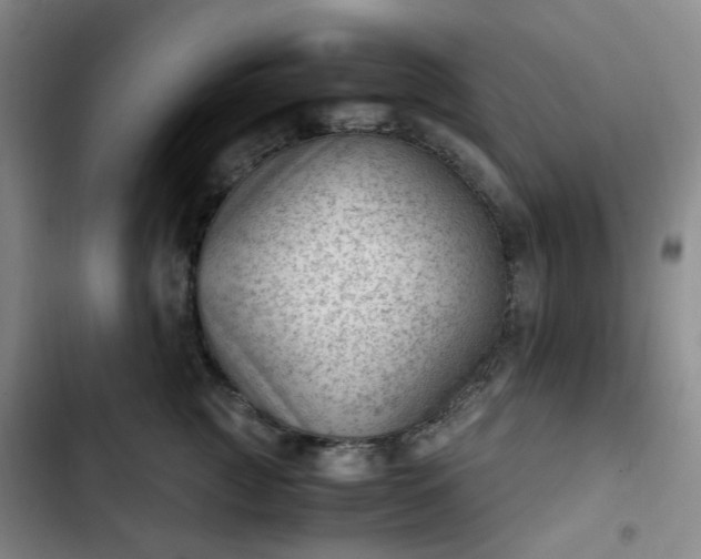 X0000102760761200808251028