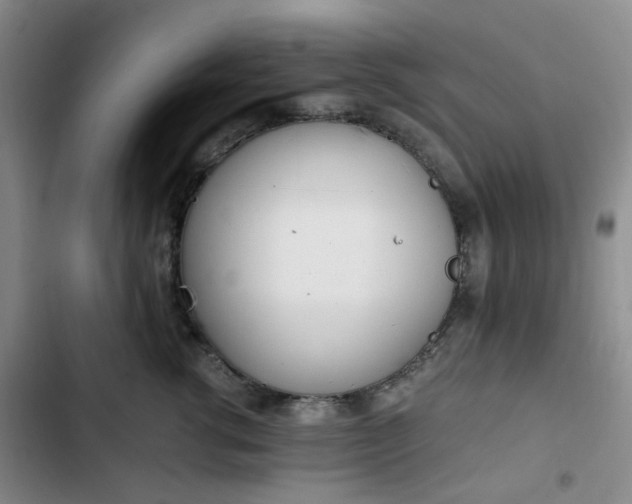 X0000102760762200808251028