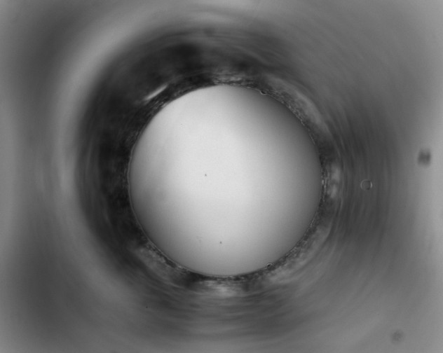 X0000102760763200808251028