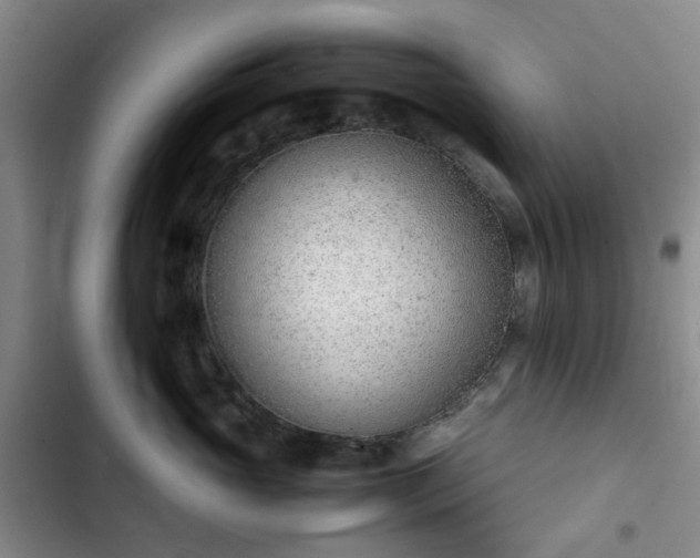 X0000102760765200808251028