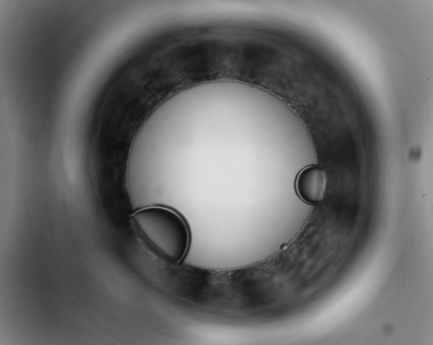 X0000102760766200808251028