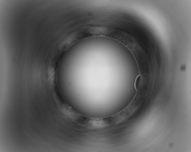 X0000102760767200808251028