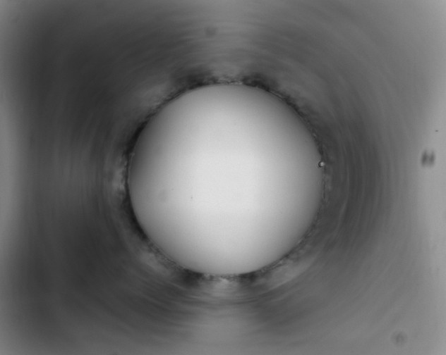 X0000102760768200808251028