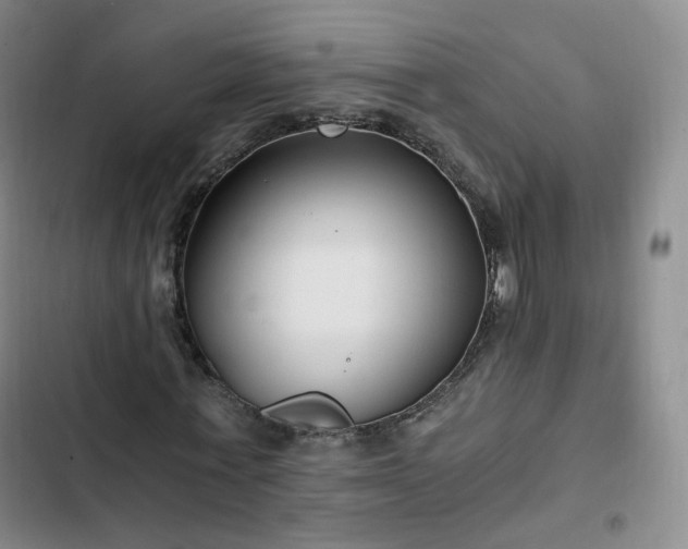 X0000102760771200808251027