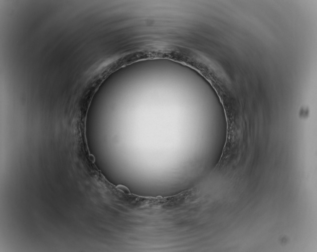 X0000102760773200808251027