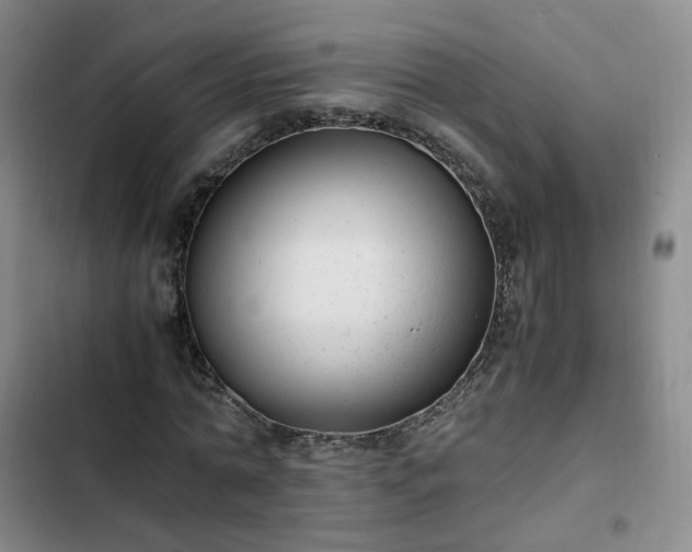 X0000102760774200808251027