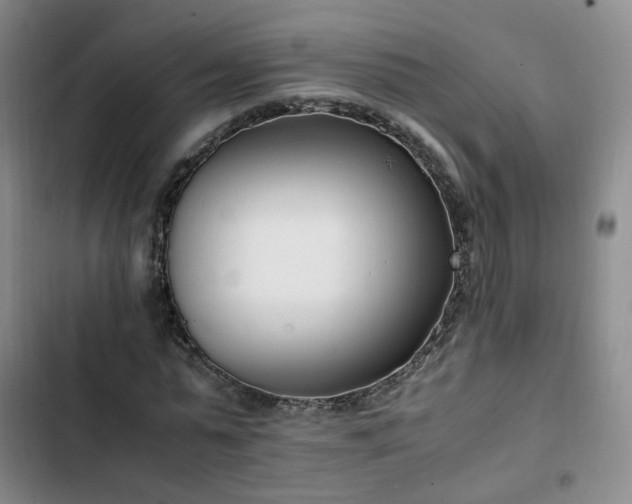 X0000102760775200808251027