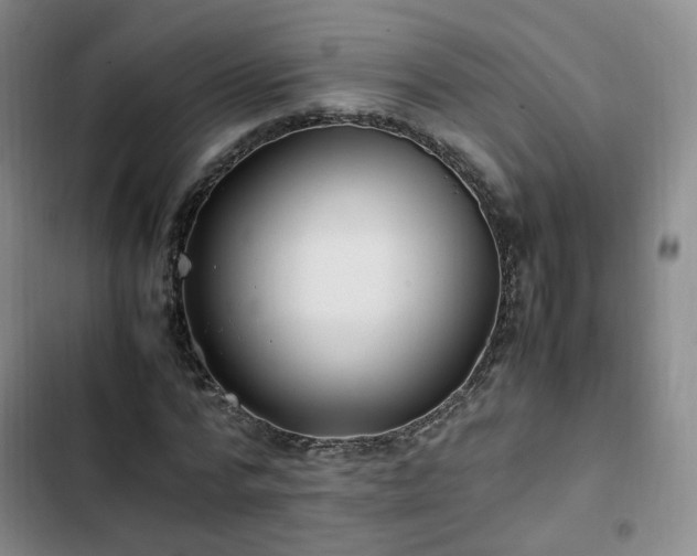 X0000102760776200808251027