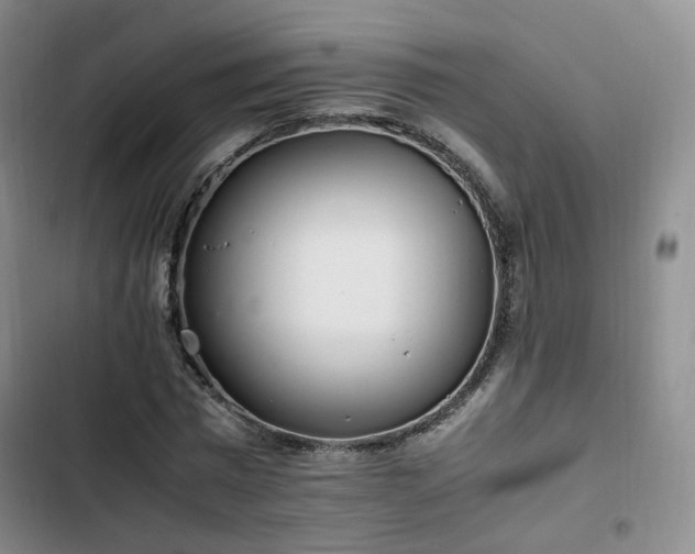 X0000102760777200808251027