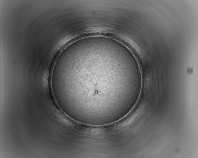 X0000102760778200808251027