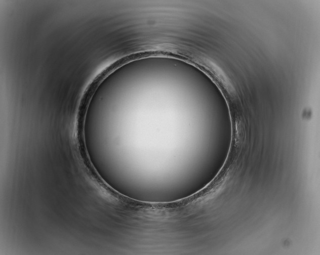 X0000102760780200808251027