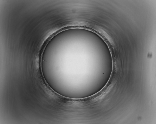 X0000102760781200808251027