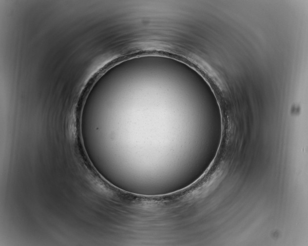 X0000102760782200808251027