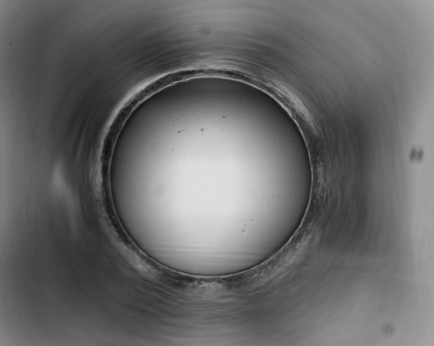 X0000102760784200808251027