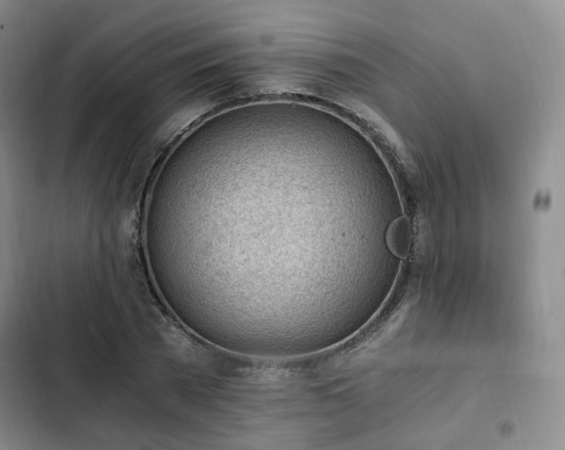 X0000102760785200808251027