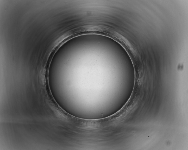 X0000102760786200808251027