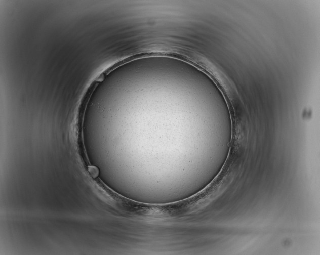 X0000102760787200808251027