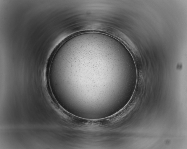 X0000102760788200808251027