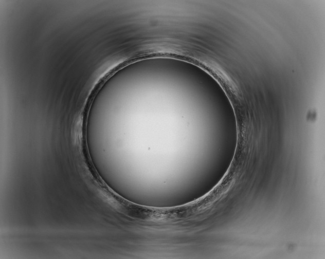 X0000102760790200808251027