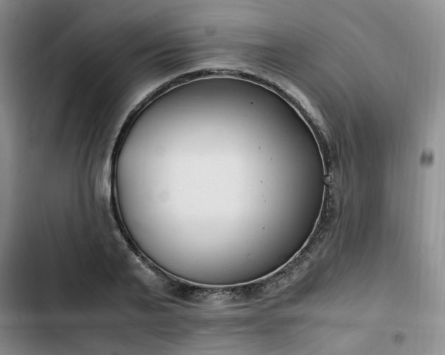 X0000102760791200808251027