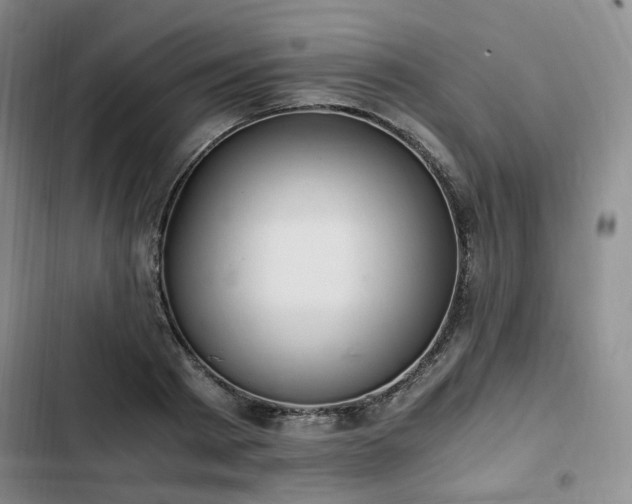 X0000102760793200808251027