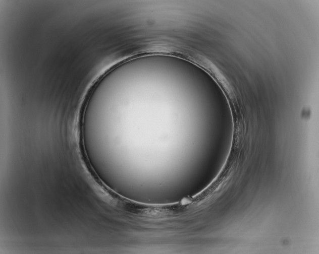 X0000102760795200808251027