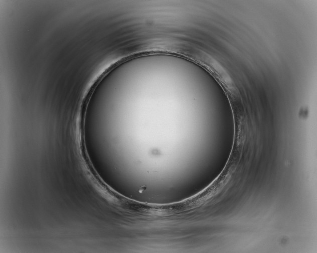 X0000102760796200808251027