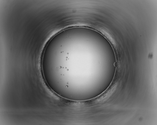 X0000102760797200808251027