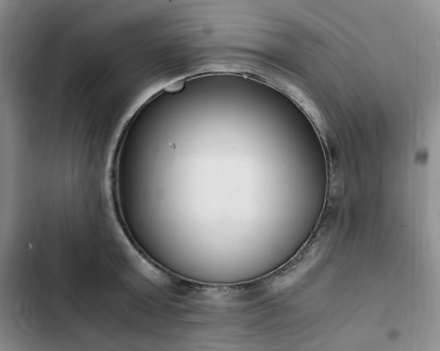 X0000102760803200808251027