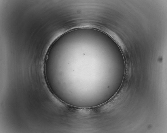 X0000102760805200808251027