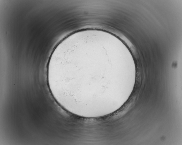 X0000102760807200808251027