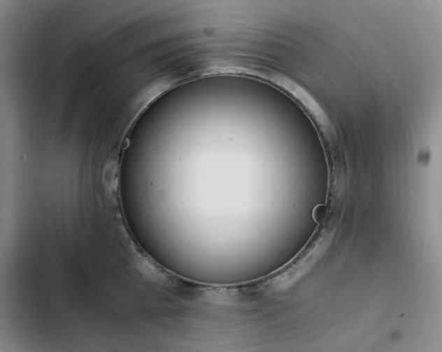 X0000102760809200808251027