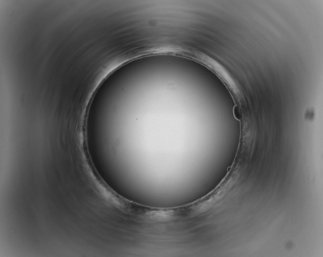 X0000102760810200808251027