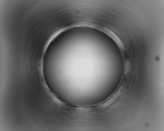 X0000102760812200808251027