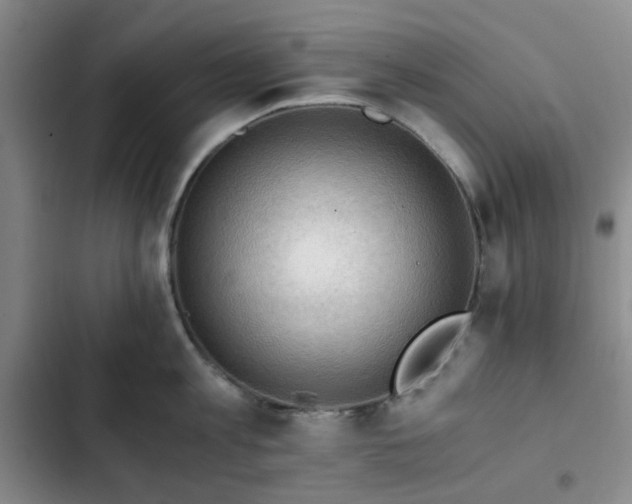 X0000102760813200808251027