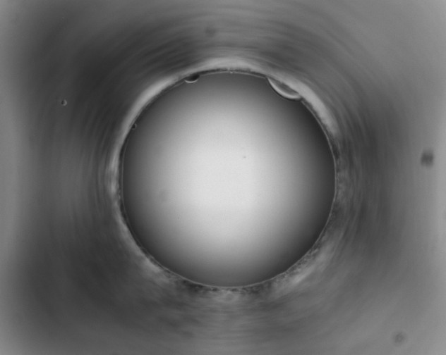 X0000102760815200808251027