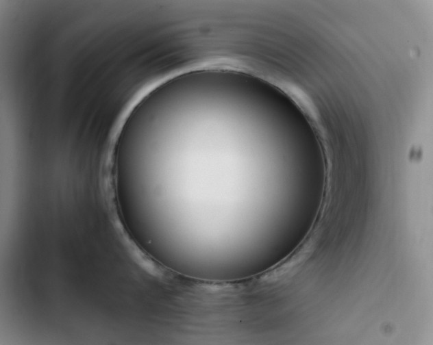 X0000102760816200808251027