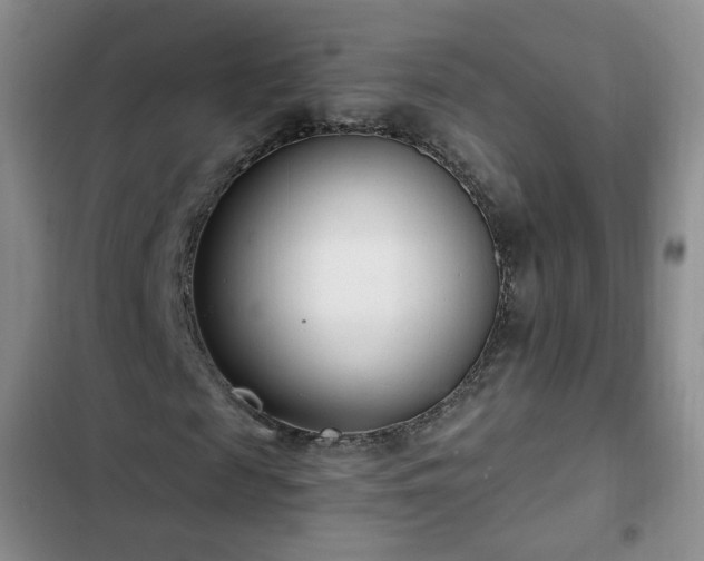 X0000102760817200808251026