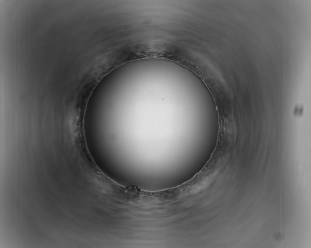 X0000102760818200808251026