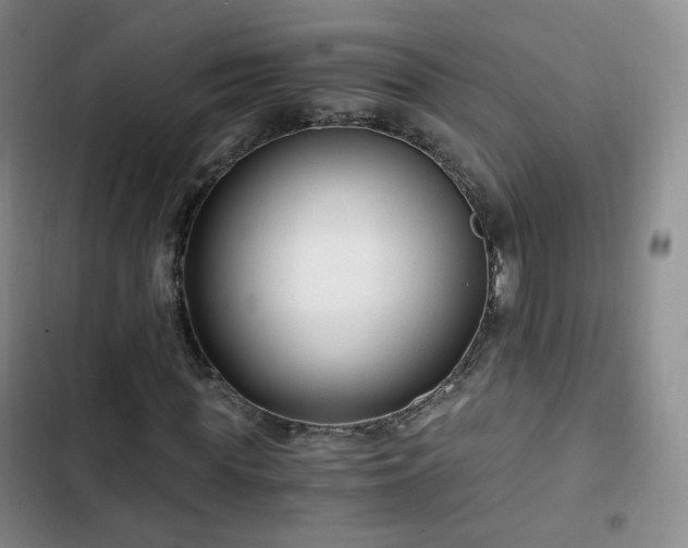 X0000102760819200808251026