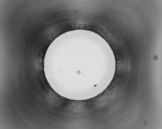 X0000102760820200808251026