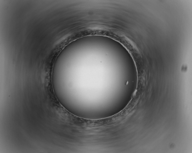 X0000102760821200808251026