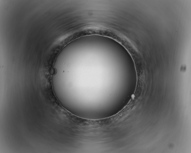 X0000102760822200808251026