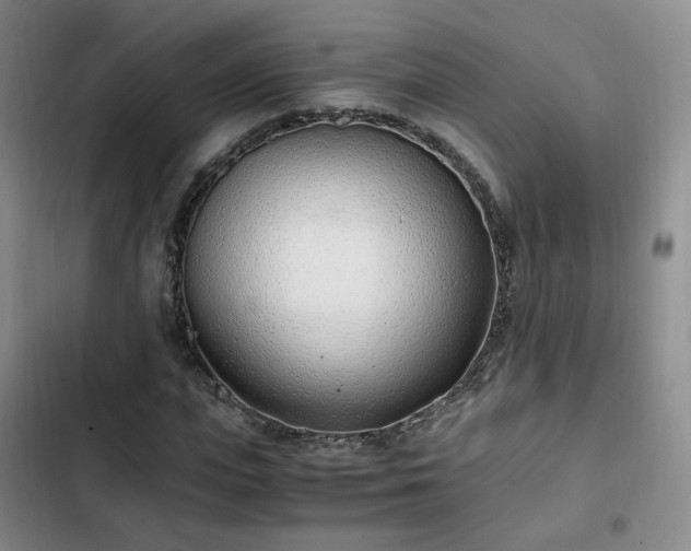 X0000102760823200808251026