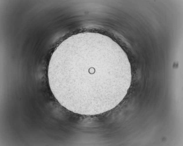 X0000102760824200808251026