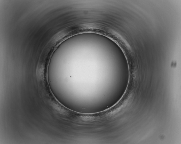 X0000102760825200808251026