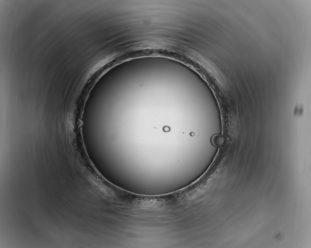 X0000102760826200808251026