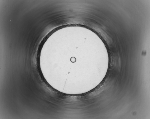 X0000102760828200808251026