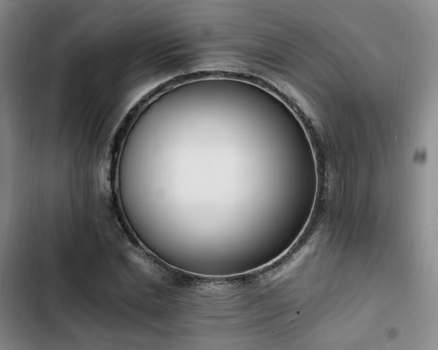 X0000102760830200808251026